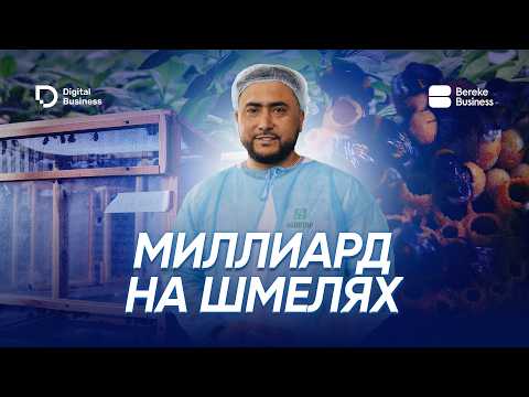 Kazakhstani man starts a bumblebee farm and makes billions from it