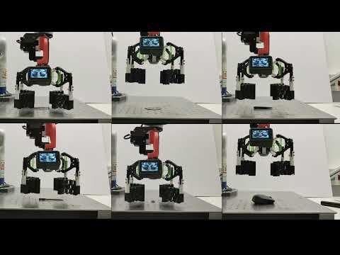 A Honeycomb-Inspired Soft Robotic Gripper with Intrinsic Adaptive Control