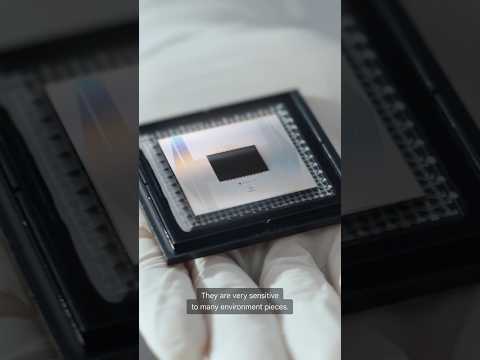The hardware behind Quantum Echoes