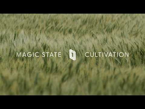 Demonstrating Magic State Cultivation on the Willow Processor | Google Quantum AI