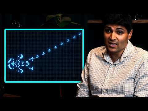 生命的游戏:数学家解释自然的复杂性 |莱克斯·弗里德曼