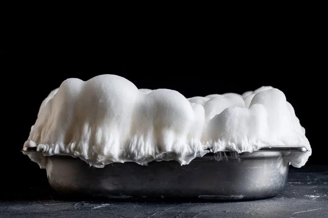 These startups hope “blended” food will cut our appetite for red meat